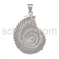 Pendant snail, ammonite