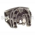 Ring horse shoe and head