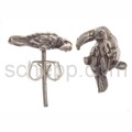 Ear studs parrot
