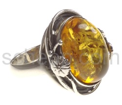 Ring, Bernstein, oval