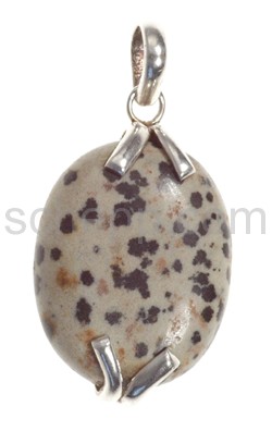 Pendant, Dalmatian-Jasper, oval