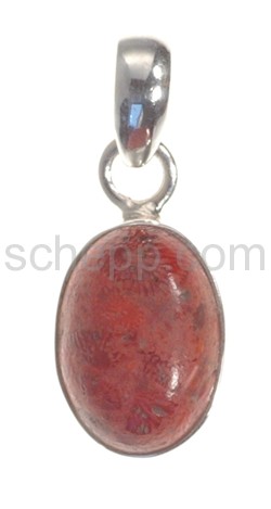 Pendant, coral, oval, small