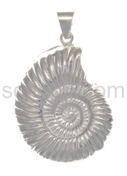 Pendant snail, ammonite