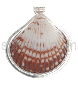 Pendant, genuine shell