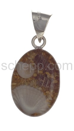 Pendant, shell with synthetic resin