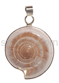 Pendant nautilus