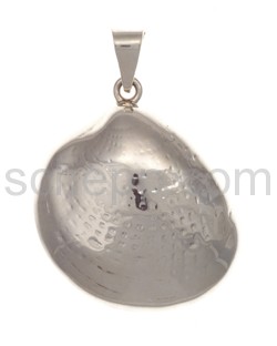 Pendant Venus shell