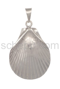 Pendant scallop shell
