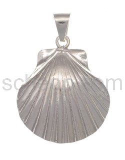 Pendant scallop shell