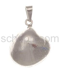 Pendant shell