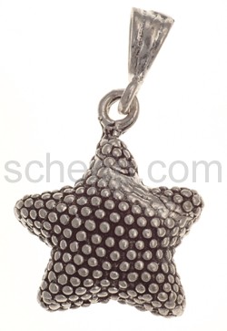 Pendant sea star, moderately large with dot-structure