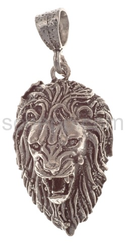 Pendant lion\s head