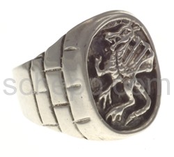 Ring Drache
