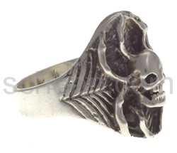 Ring, Totenkopf-Spinne im Netz
