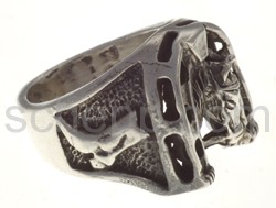 Ring Hufeisen und Pferdekopf