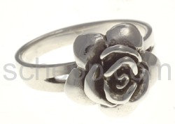 Ring rose bloom